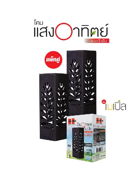 โคมไฟแต่งสวนพลังงานแสงอาทิตย์ HI-TEK รุ่น HFSL02002B สีดำ