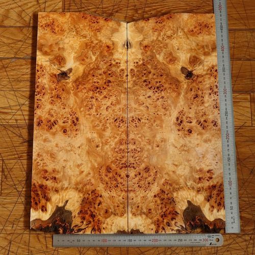 Poplar burl วางบน PB1