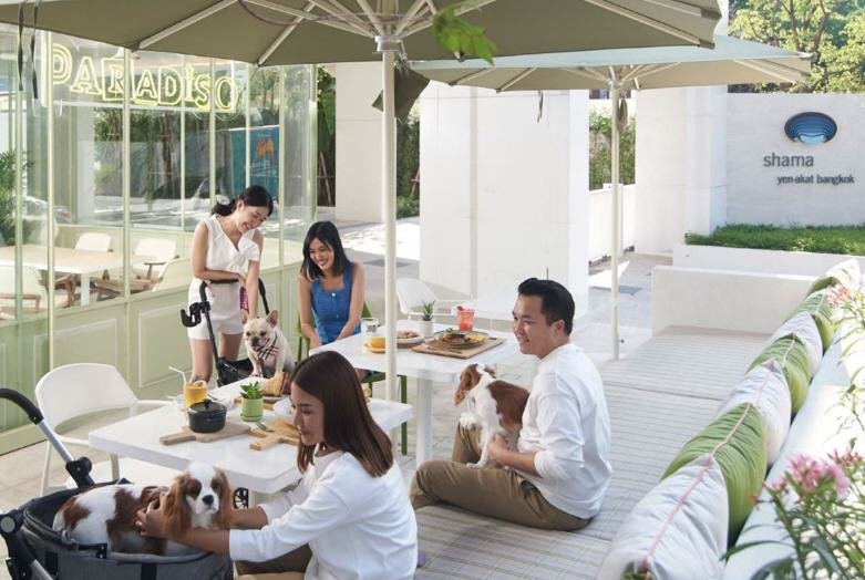 “ชามา” จัดเต็มเซอร์วิสอพาร์ตเมนต์ ทำเลเด่นทั่วกรุง เจาะตลาดเทรนด์คนทำงานยุคใหม่