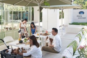 “ชามา” จัดเต็มเซอร์วิสอพาร์ตเมนต์ ทำเลเด่นทั่วกรุง เจาะตลาดเทรนด์คนทำงานยุคใหม่