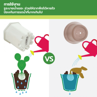 GREENHOUSE กระถาง แคคตัส 3 นิ้ว สีขาว