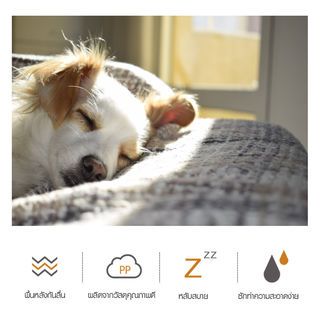 เบาะนอนสัตว์เลี้ยง CW001S ไซส์ S ขนาด 35x45x15ซม. สีดำ