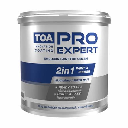 สีน้ำทาฝ้า ชนิดด้าน PRO EXPERT CEILING PM777 สีขาวอมเทา 1 แกลลอน