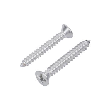 สกรูเกลียวปล่อย TF DEXZON 6x1 นิ้ว (แพ็ก 25 ชิ้น)