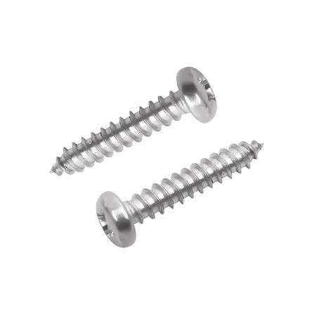 สกรูเกลียวปล่อย TP DEXZON 3x15 มม. (แพ็ก 25 ชิ้น)