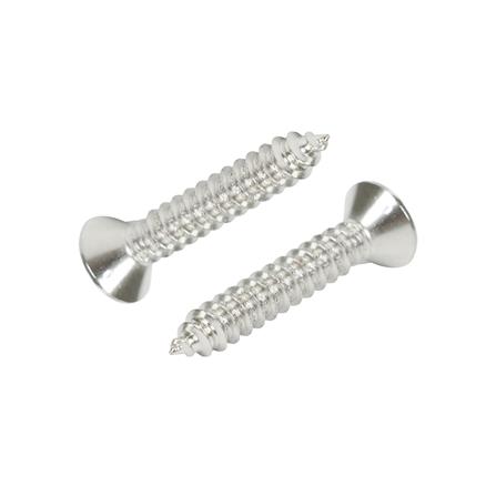 สกรูเกลียวปล่อย TF DEXZON 12X1-1/4 นิ้ว แพ็ก 15 ชิ้น