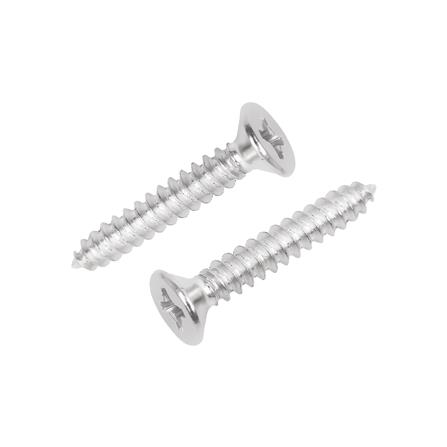 สกรูเกลียวปล่อย TF DEXZON 8X1 นิ้ว 500 ตัว