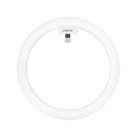 หลอด LED LAMPTAN CIRCULAR SET 24 วัตต์ DAYLIGHT G10q