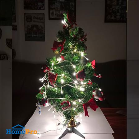 ไฟกะพริบ LED CARINI สายขาวใส 10 เมตร DAYLIGHT