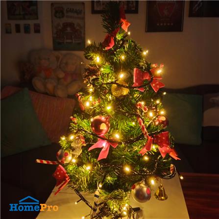 ไฟกะพริบ LED CARINI สายเขียว 10 เมตร WARM WHITE