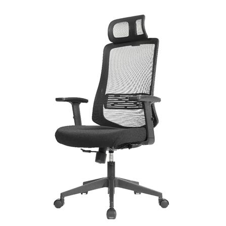 เก้าอี้สุขภาพ ERGOTREND RIO สีดำ